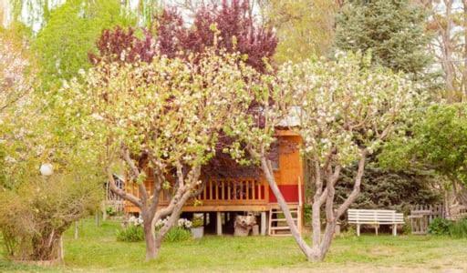 Hosteria La Farfalla Chos Malal Extérieur photo